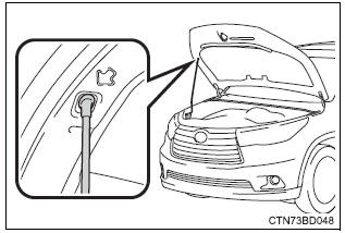 Toyota Highlander. Hood