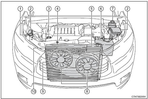 Toyota Highlander. Engine compartment 